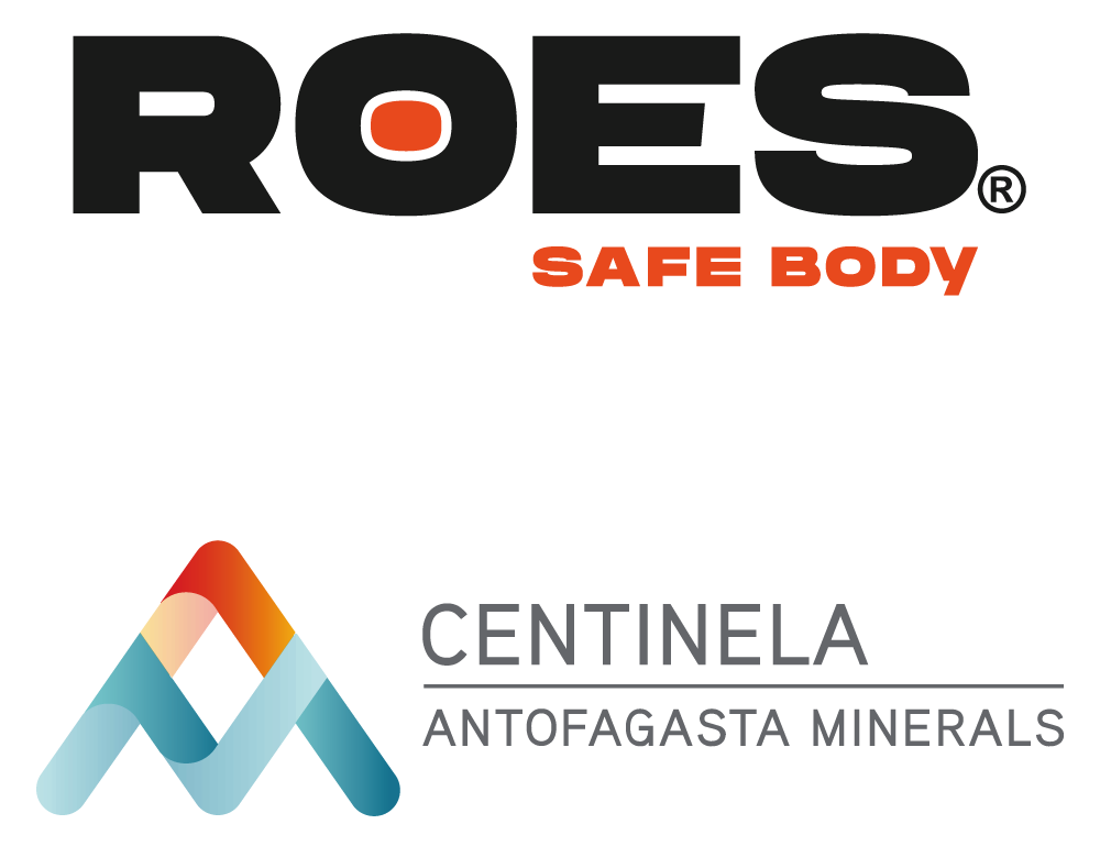 Comercializadora ROES